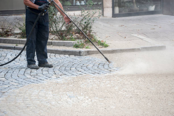 Best Factory Floor Cleaning  in Willards, MD