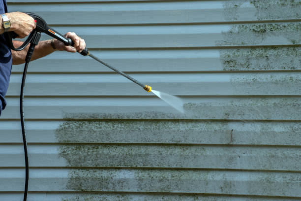 Best Patio and Deck Pressure Washing  in Willards, MD