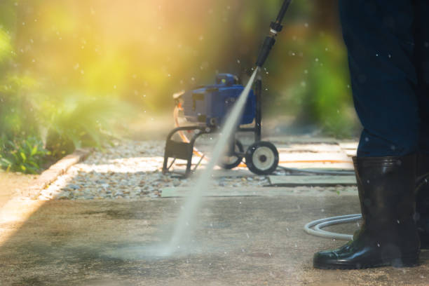 Best House Exterior Washing  in Willards, MD